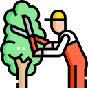 service